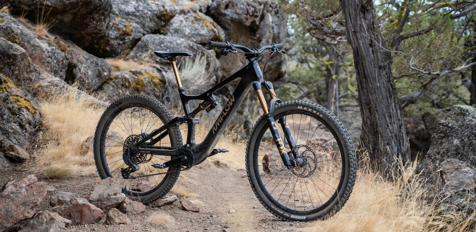 Amflow PL Carbon Pro — lightweight agile trail eMTB